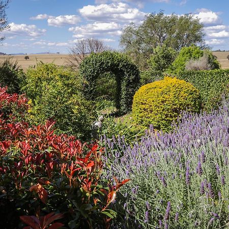 Strathearn Park Lodge Scone Luaran gambar